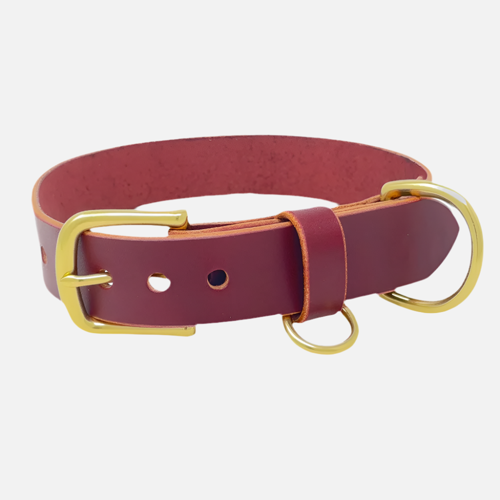 Last State Leather - Large Leather Collar - Burgundy/Brass