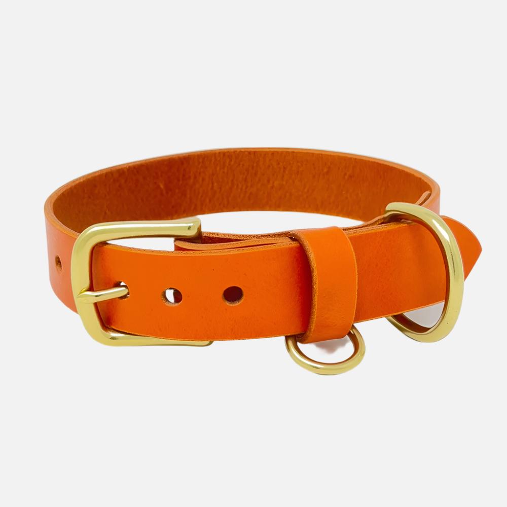 Last State Leather - Large Leather Collar - Orange/Brass