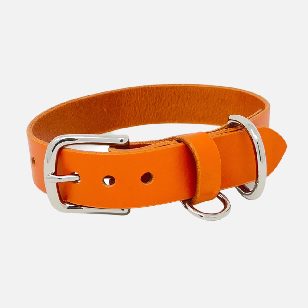 Last State Leather - Large Leather Collar - Orange/Nickel