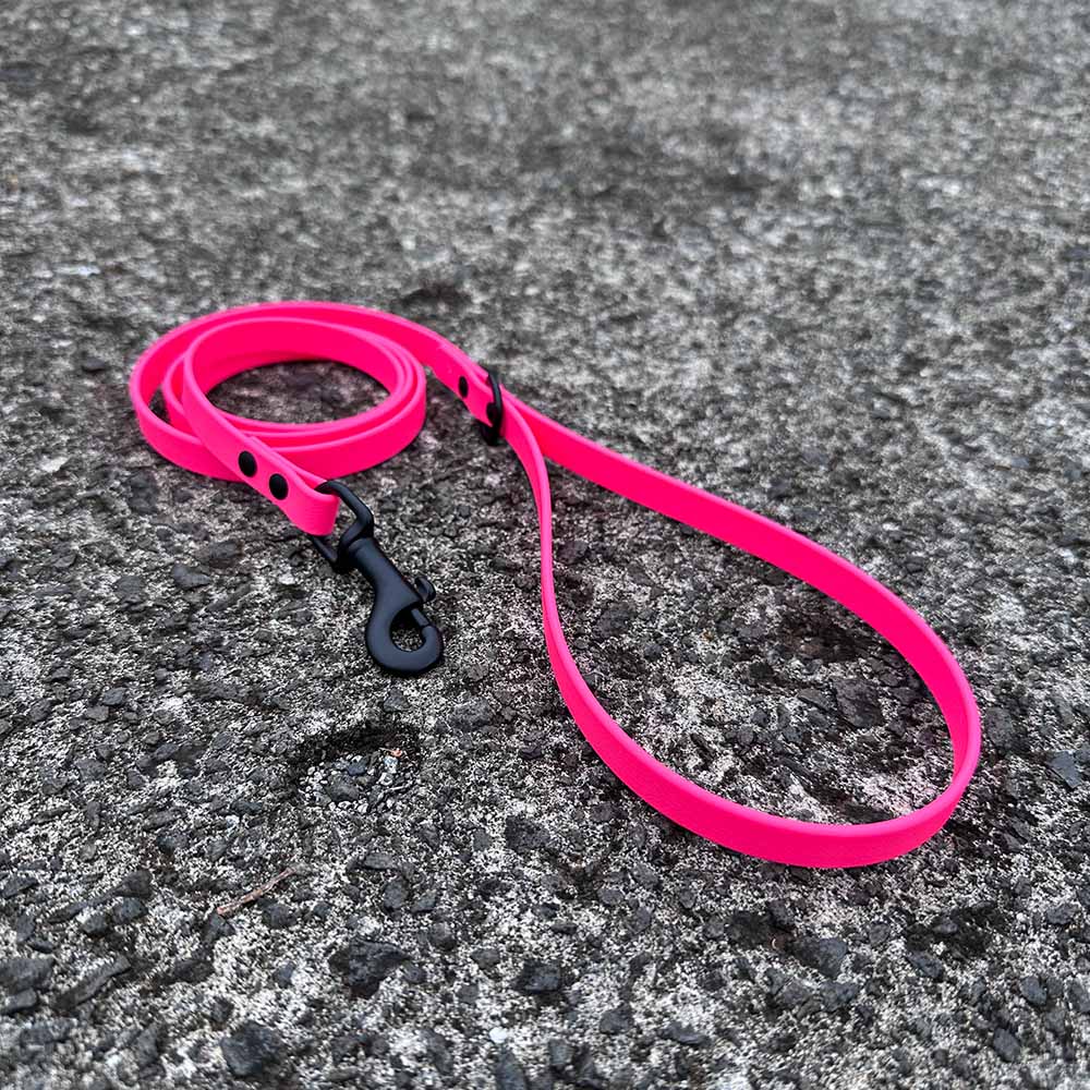 last state leather's 4ft biothane leash in 1/2" width in sage color