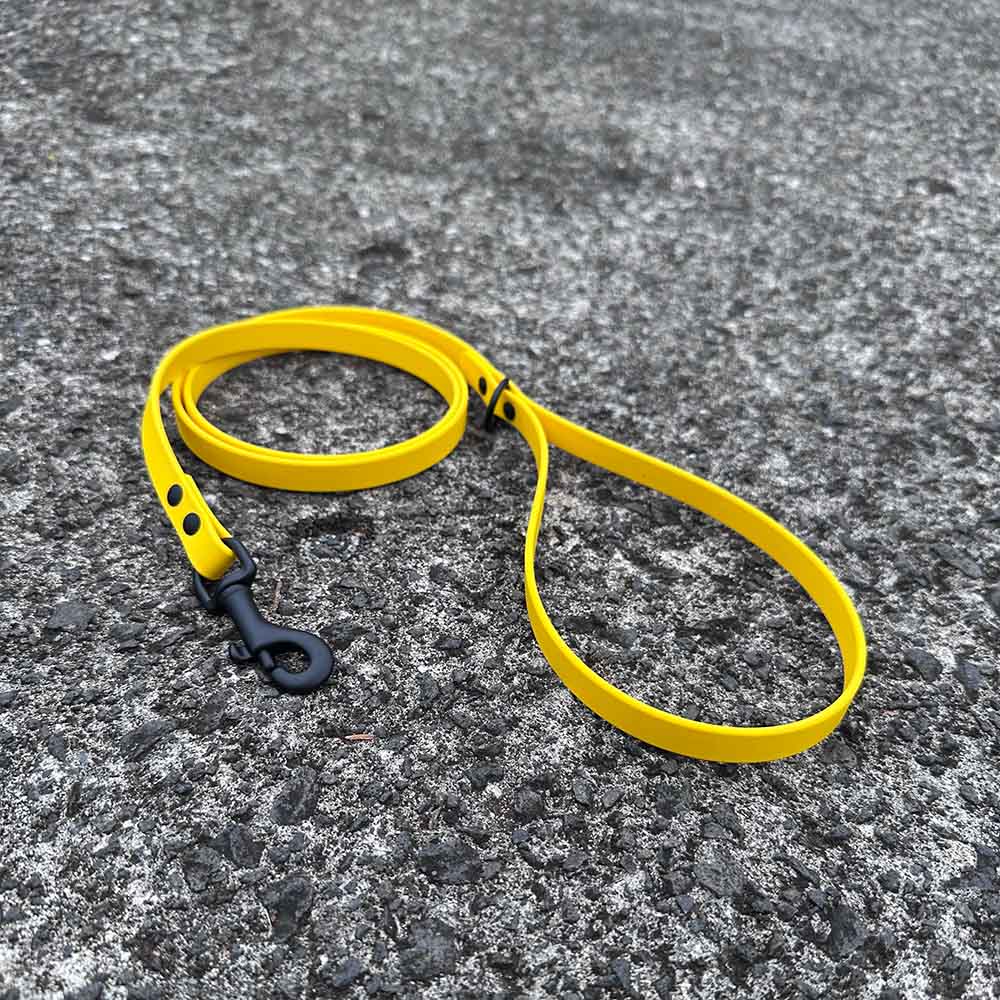 last state leather's 4ft biothane leash in 1/2" width in lemon color