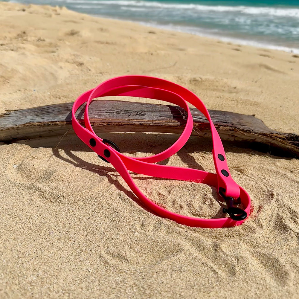 Last State Leather 4ft BioThane dog leash in hot pink