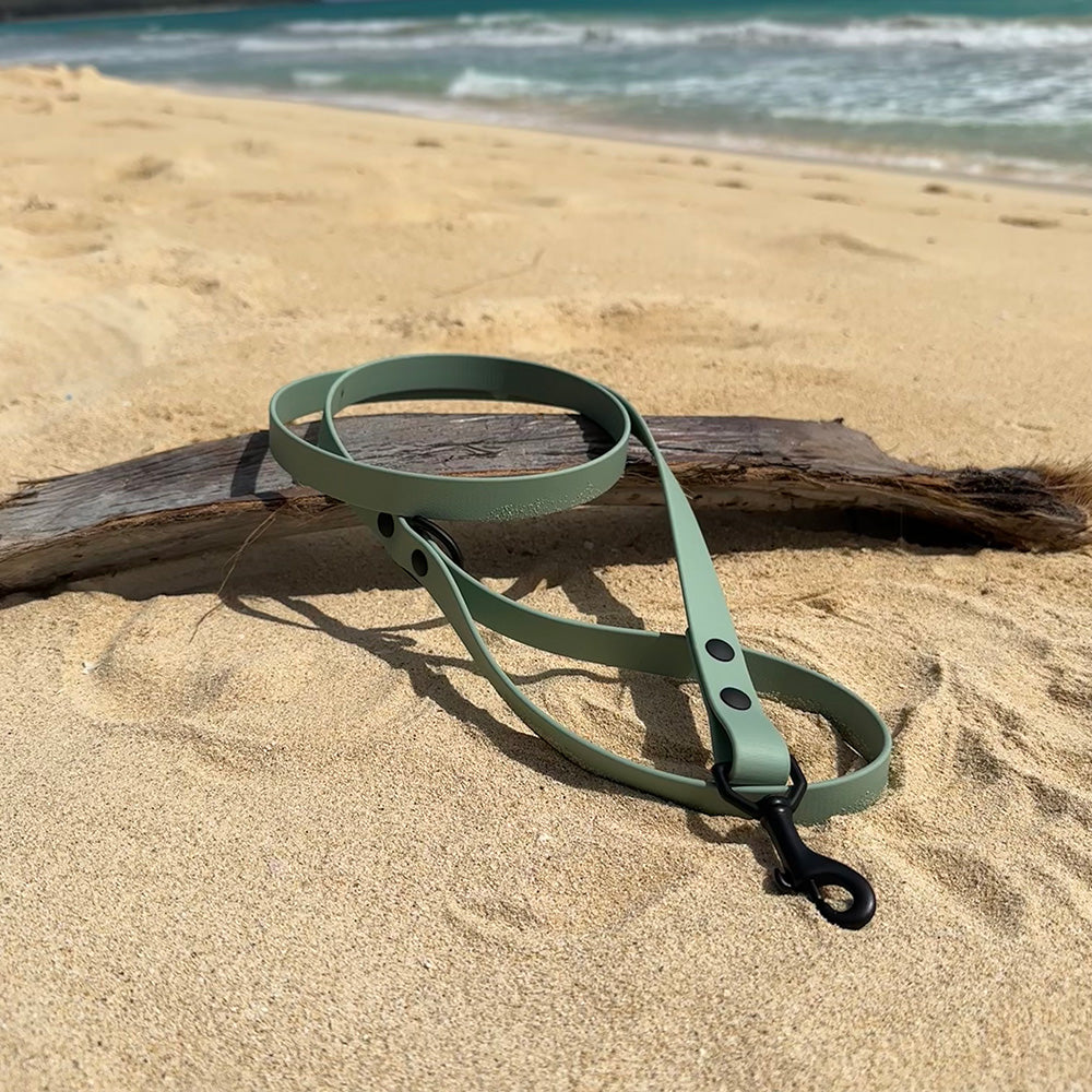 Last State Leather 4ft BioThane dog leash in sage