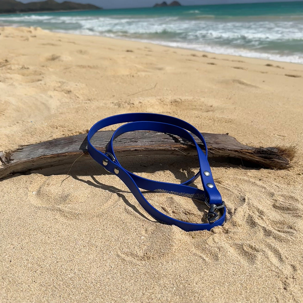 Last State Leather 4ft BioThane dog leash in blueberry