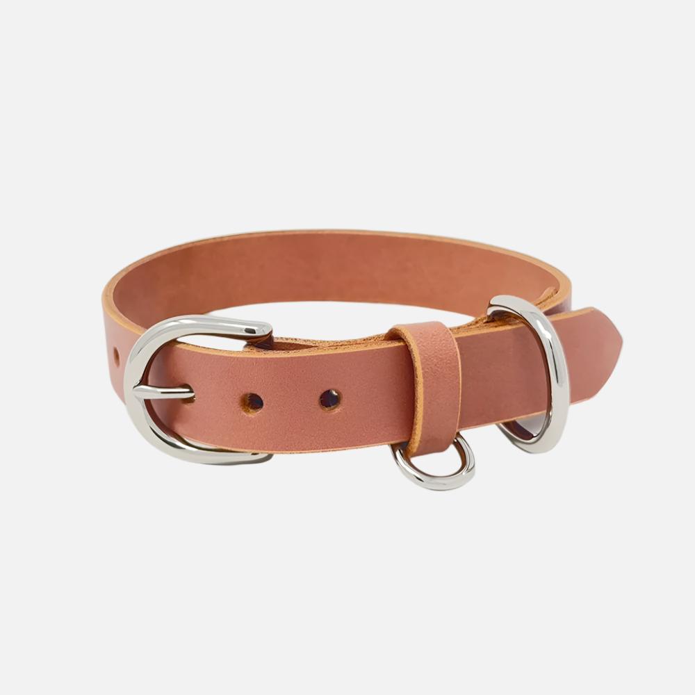 Last State Leather - Medium Leather Collar - Blush/Nickel