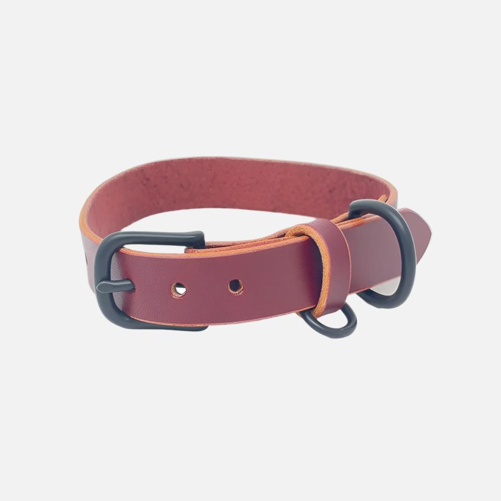 Last State Leather - Medium Leather Collar - Burgundy/Black