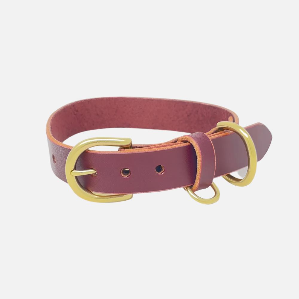 Last State Leather - Medium Leather Collar - Burgundy/Brass