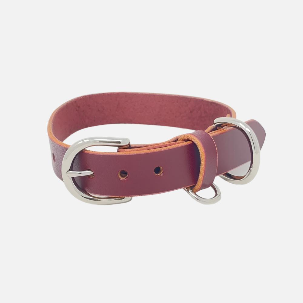 Last State Leather - Medium Leather Collar - Burgundy/Nickel