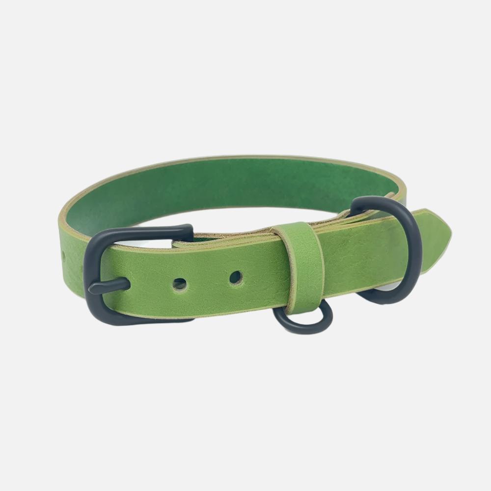 Last State Leather - Medium Leather Collar - Green/Black