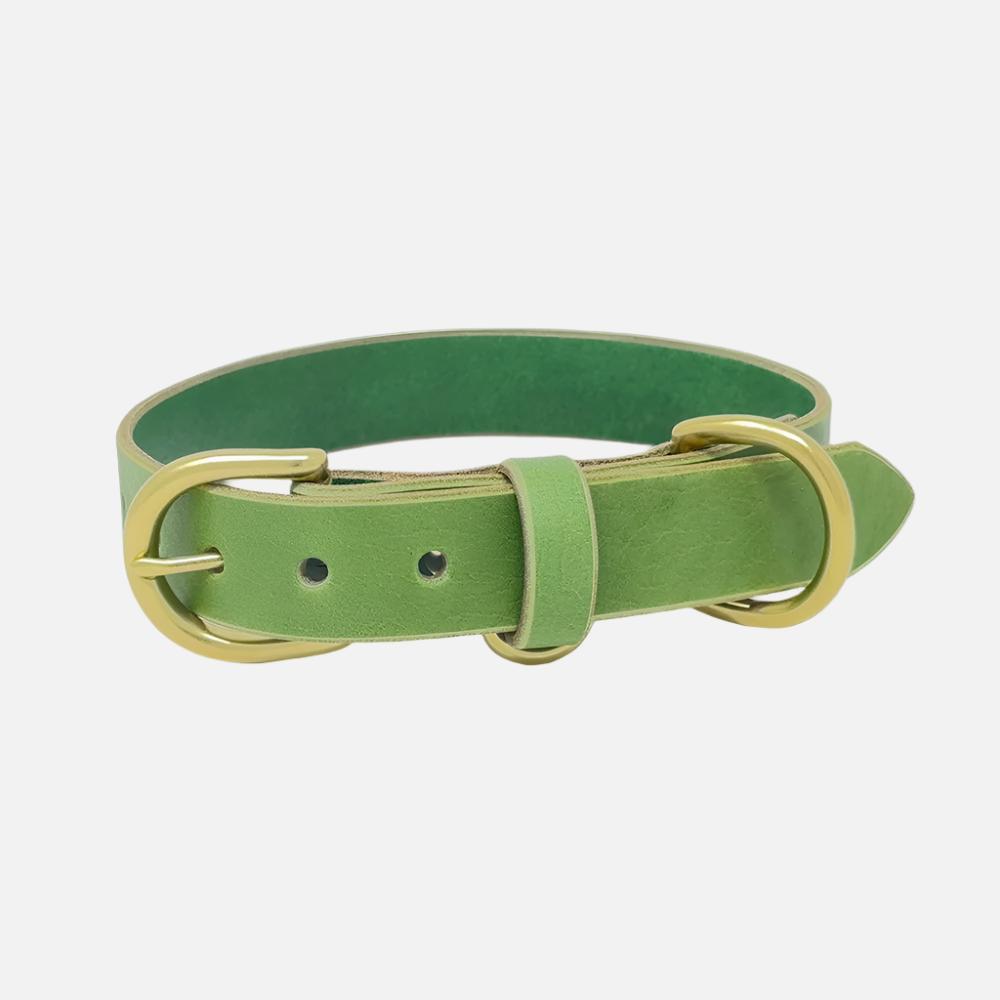 Last State Leather - Medium Leather Collar - Green/Brass
