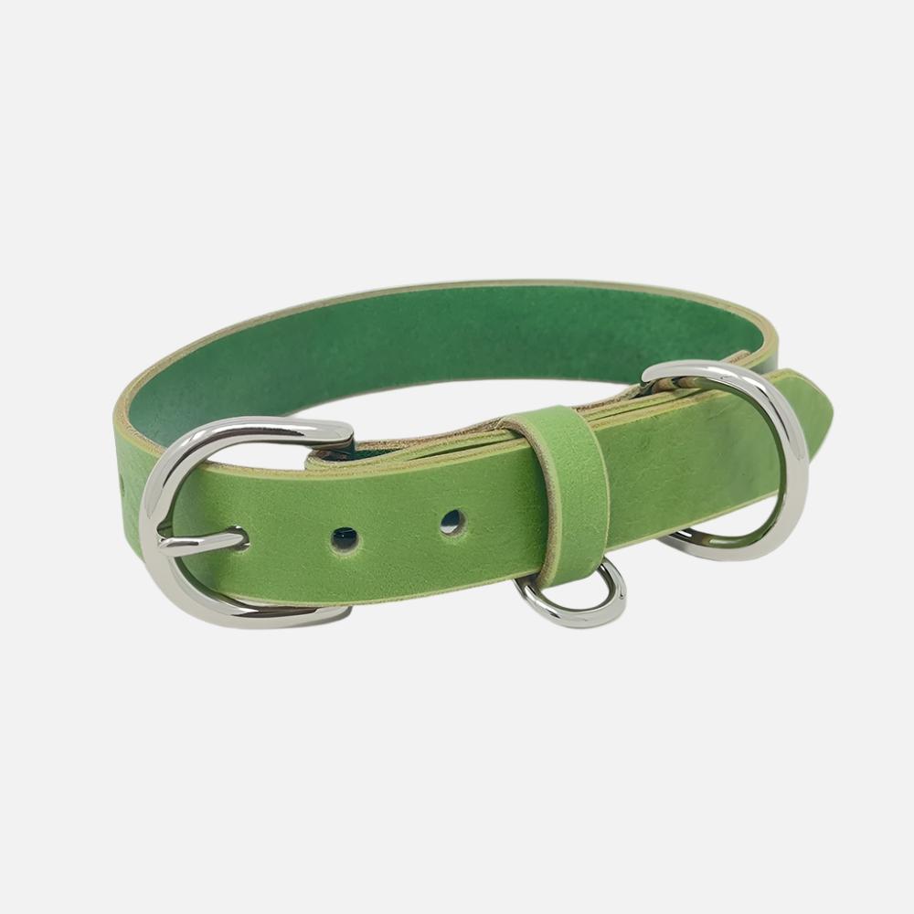 Last State Leather - Medium Leather Collar - Green/Nickel