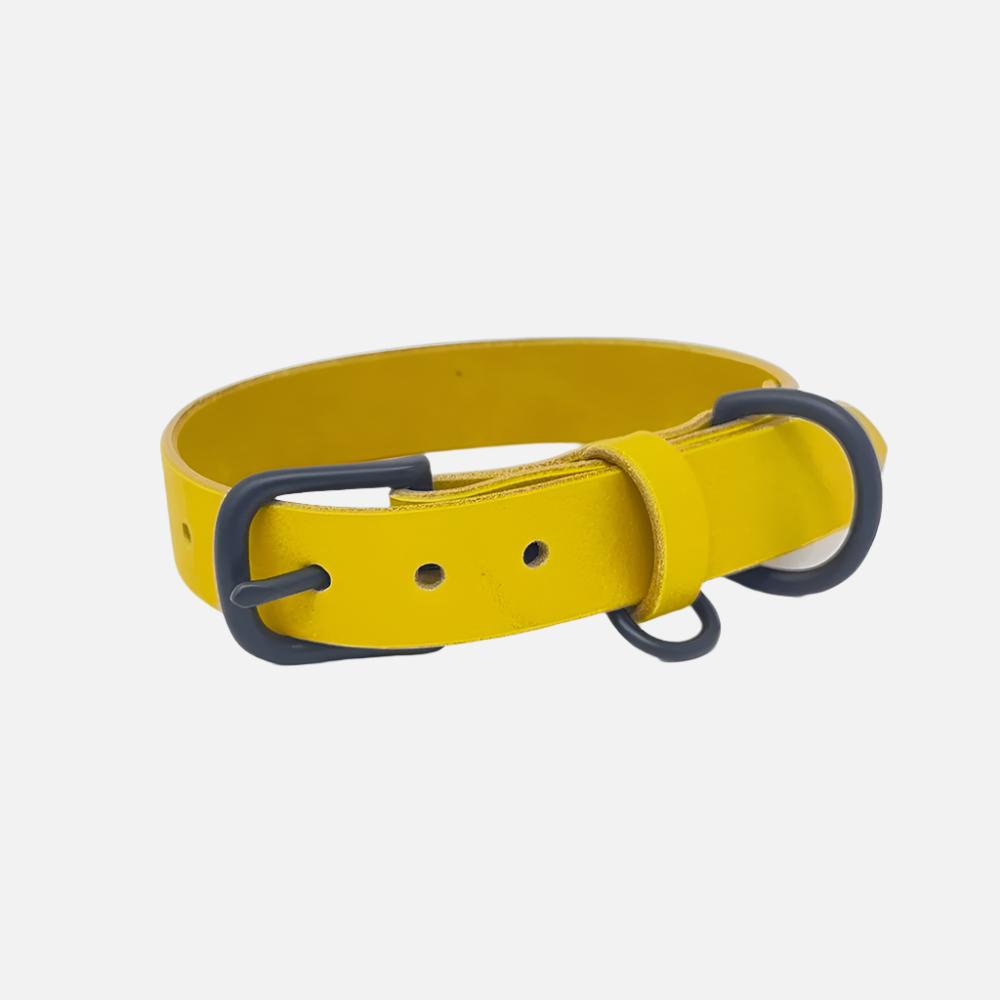 Last State Leather - Medium Leather Collar - Mustard/Black