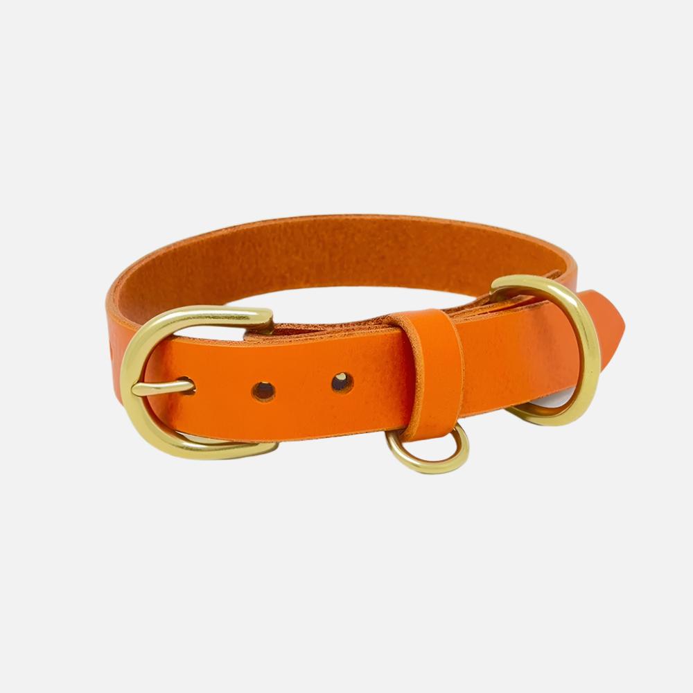Last State Leather - Medium Leather Collar - Orange/Brass