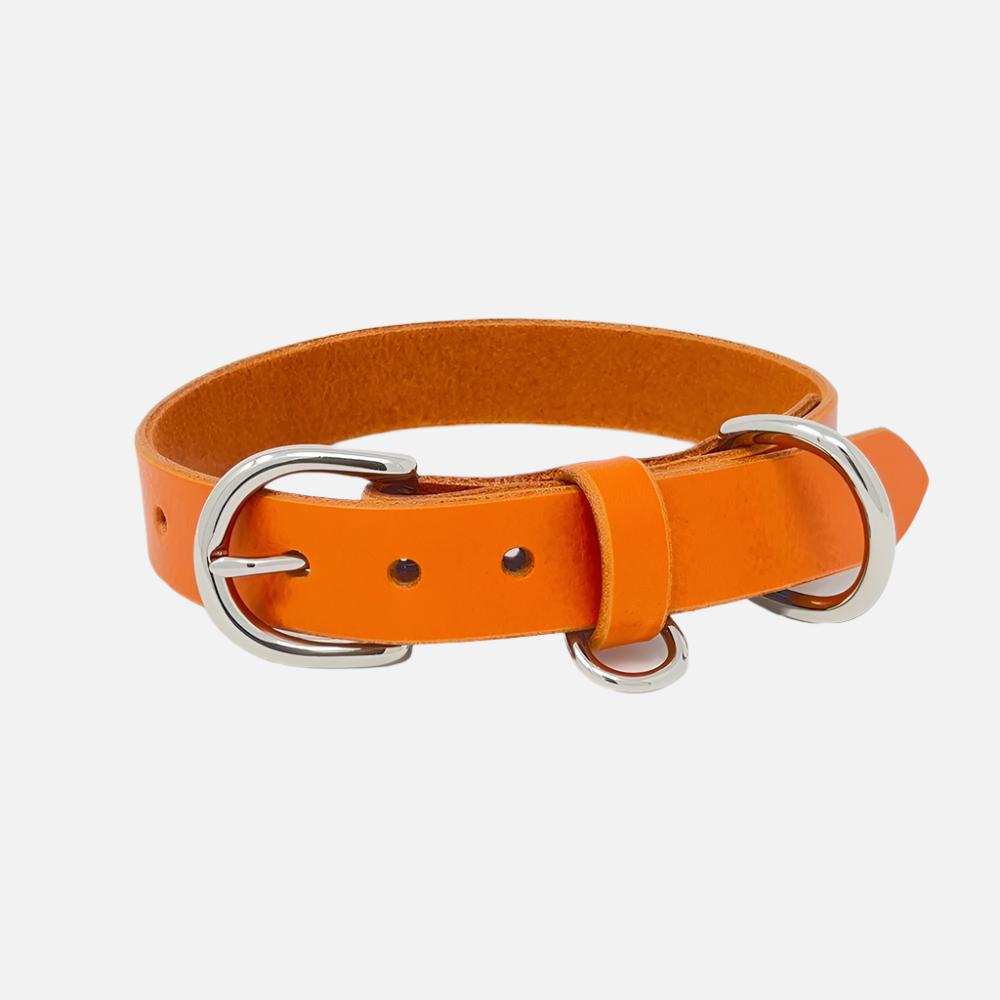 Last State Leather - Medium Leather Collar - Orange/Nickel
