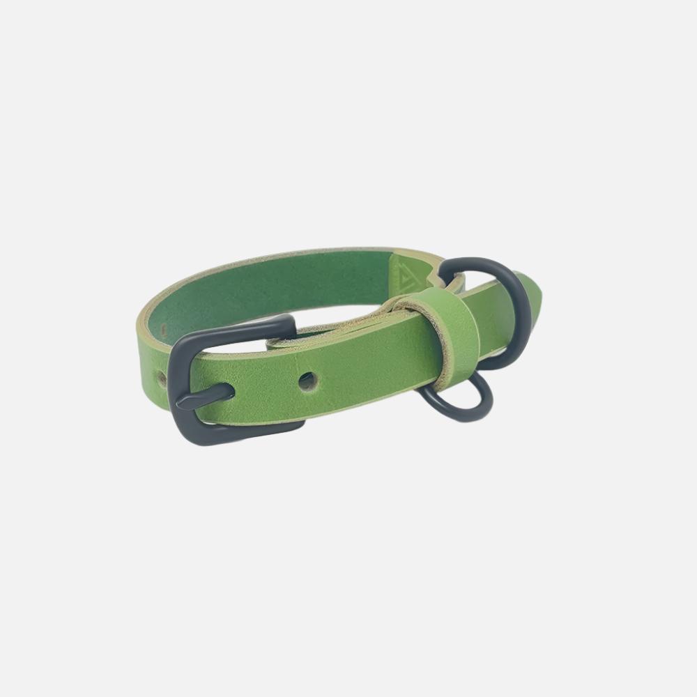 Last State Leather - X Small Leather Collar - Green/Black