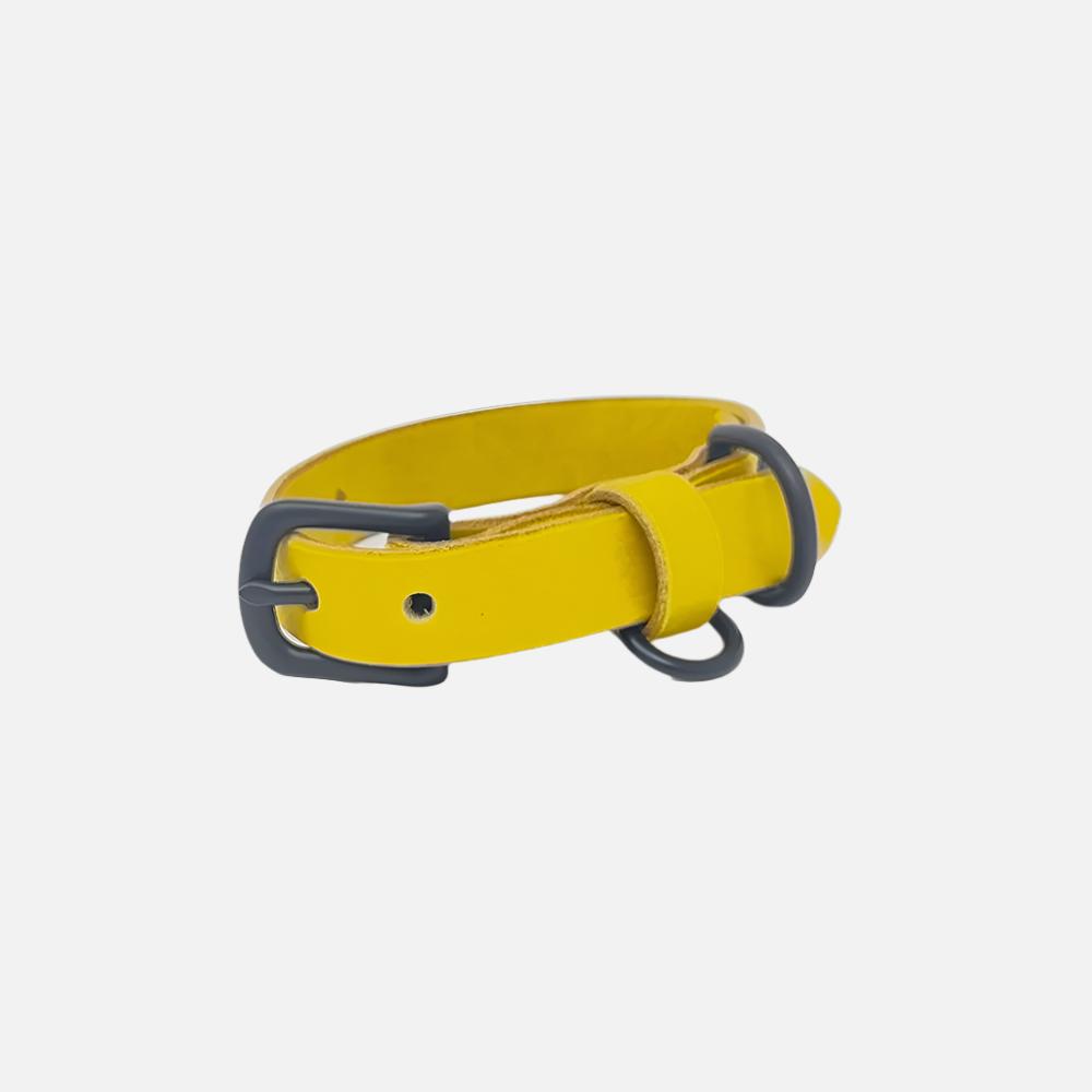 Last State Leather - X Small Leather Collar - Mustard/Black