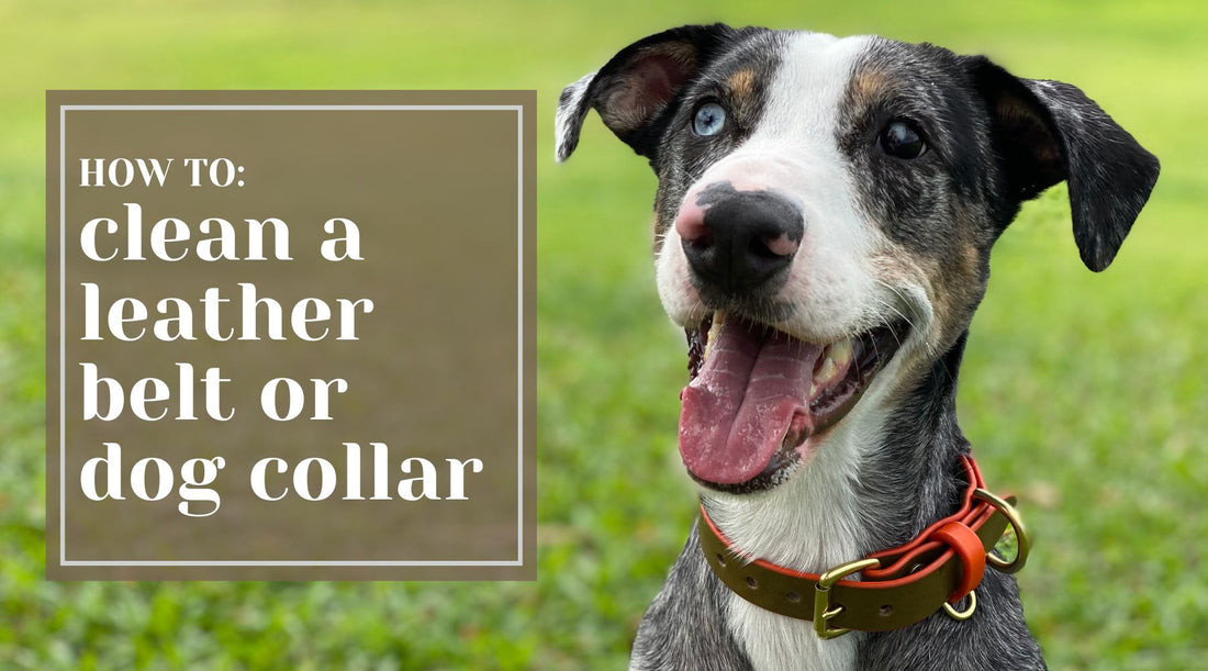 How To: Clean a Leather Belt or Dog Collar