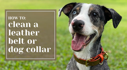 How To: Clean a Leather Belt or Dog Collar