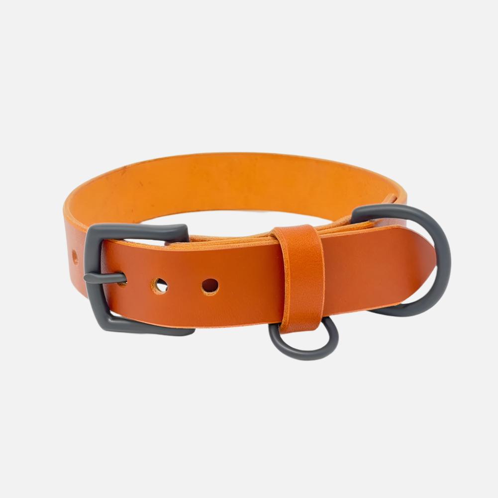 Last State Leather - Large Leather Collar - Chestnut/Black