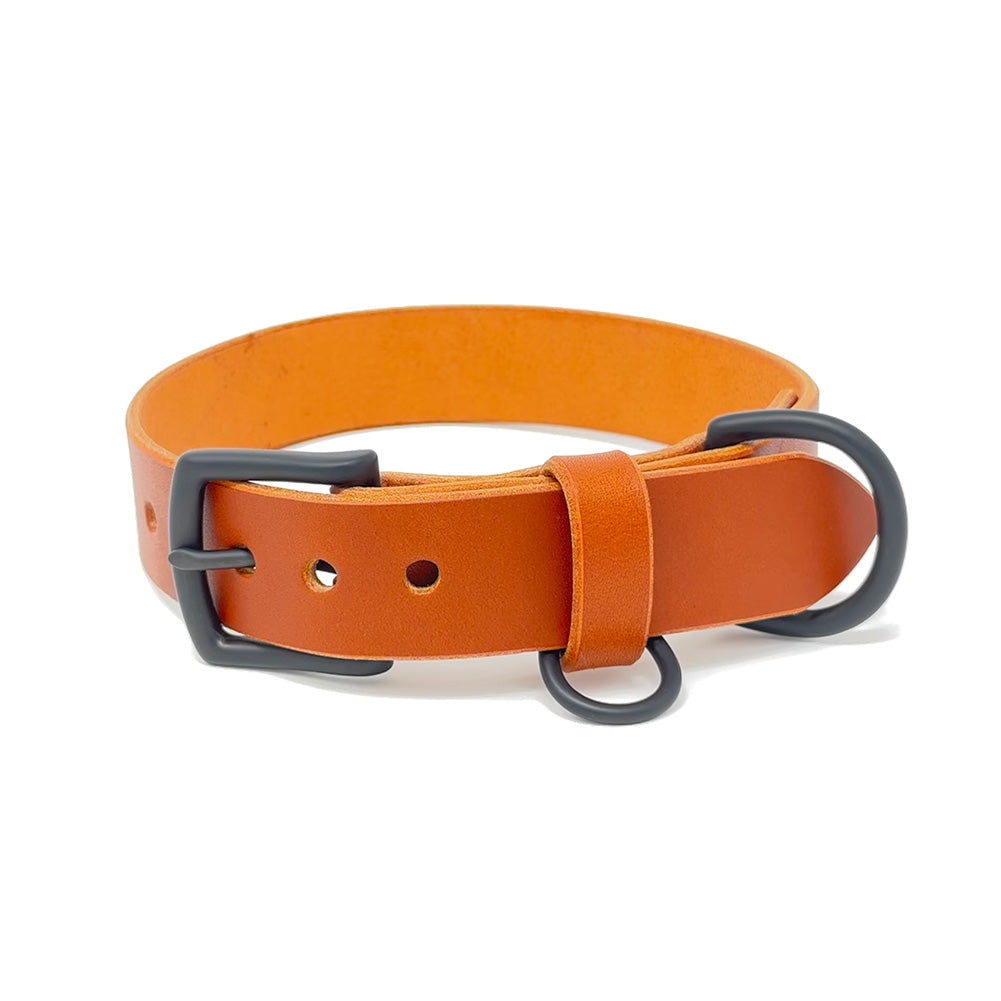 Last State Leather - Large Leather Collar - Chestnut/Black