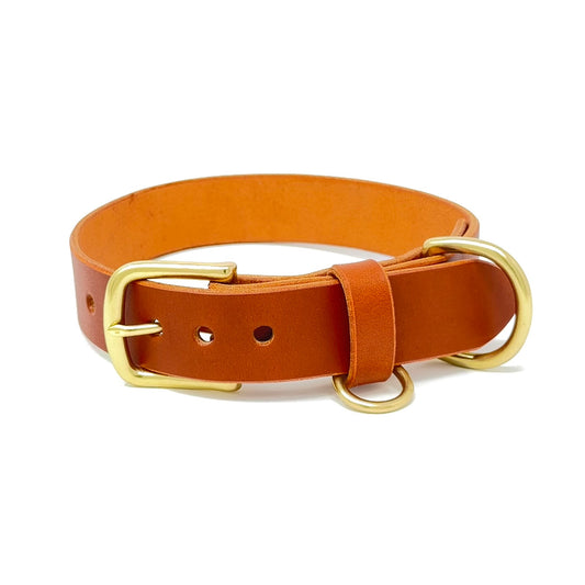 Last State Leather - Large Leather Collar - Chestnut/Brass