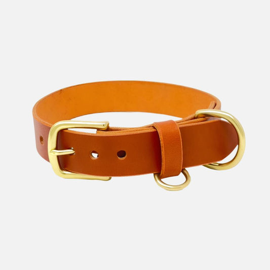 Last State Leather - Large Leather Collar - Chestnut/Brass