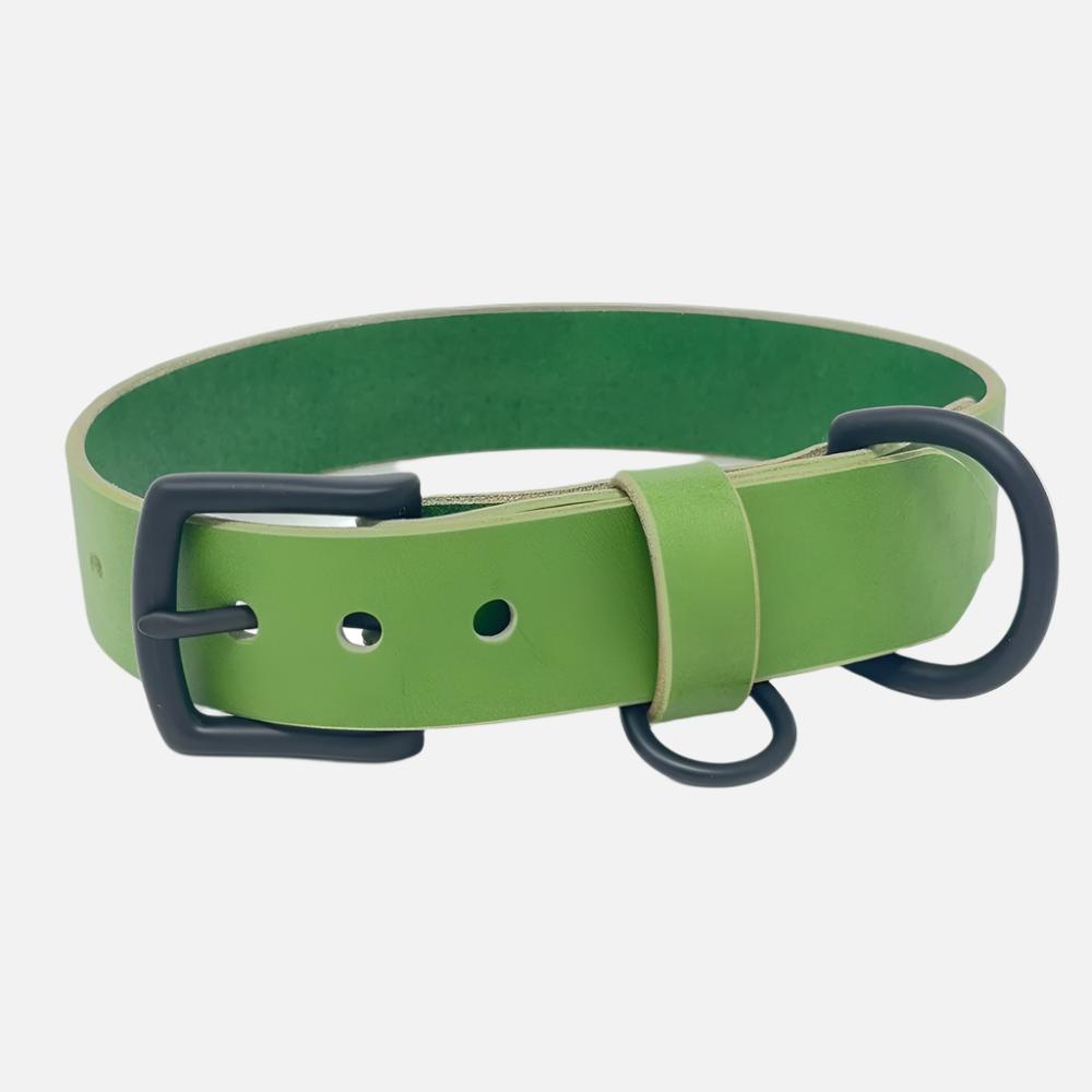 Last State Leather - Large Leather Collar - Green/Black