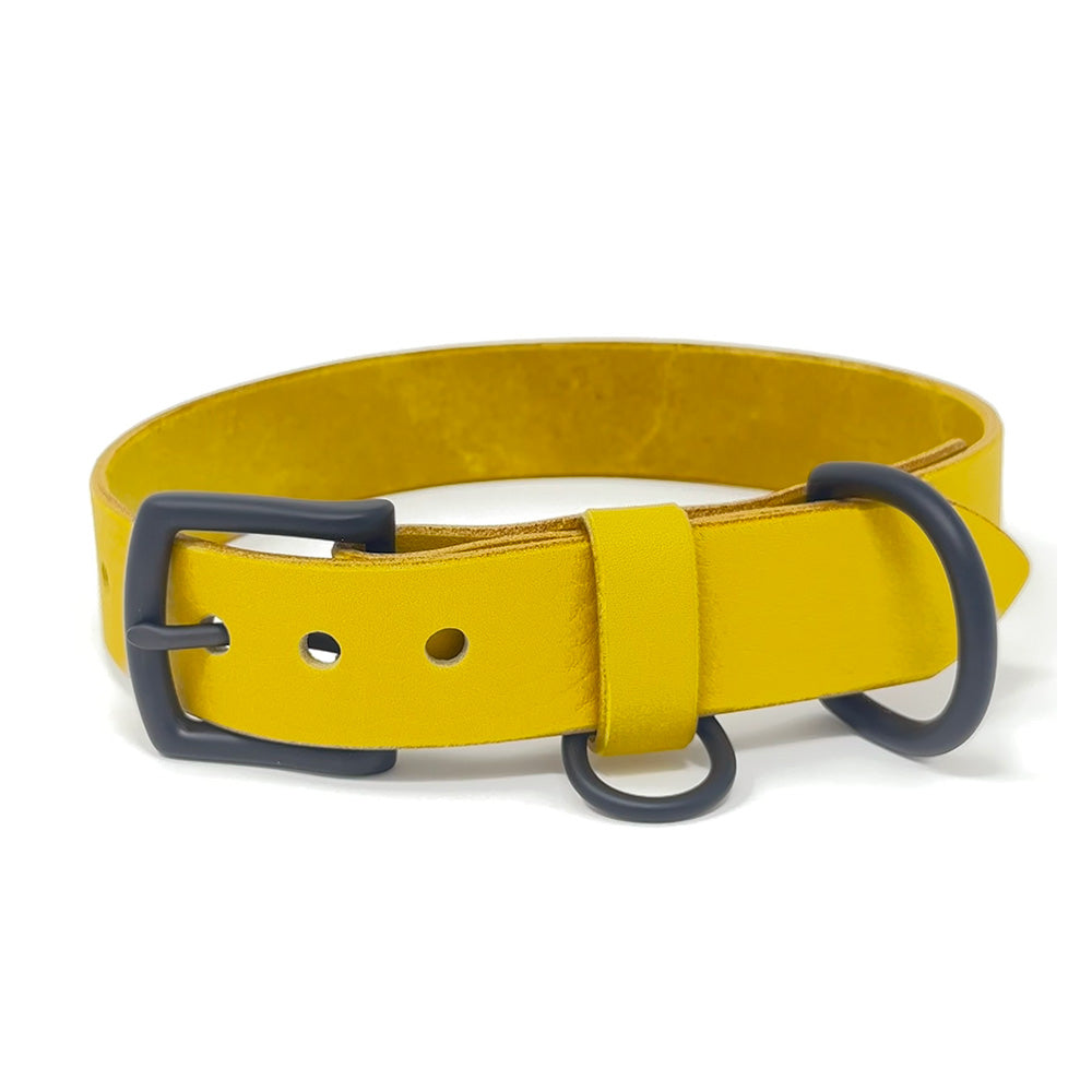 Last State Leather - Large Leather Collar - Mustard/Black