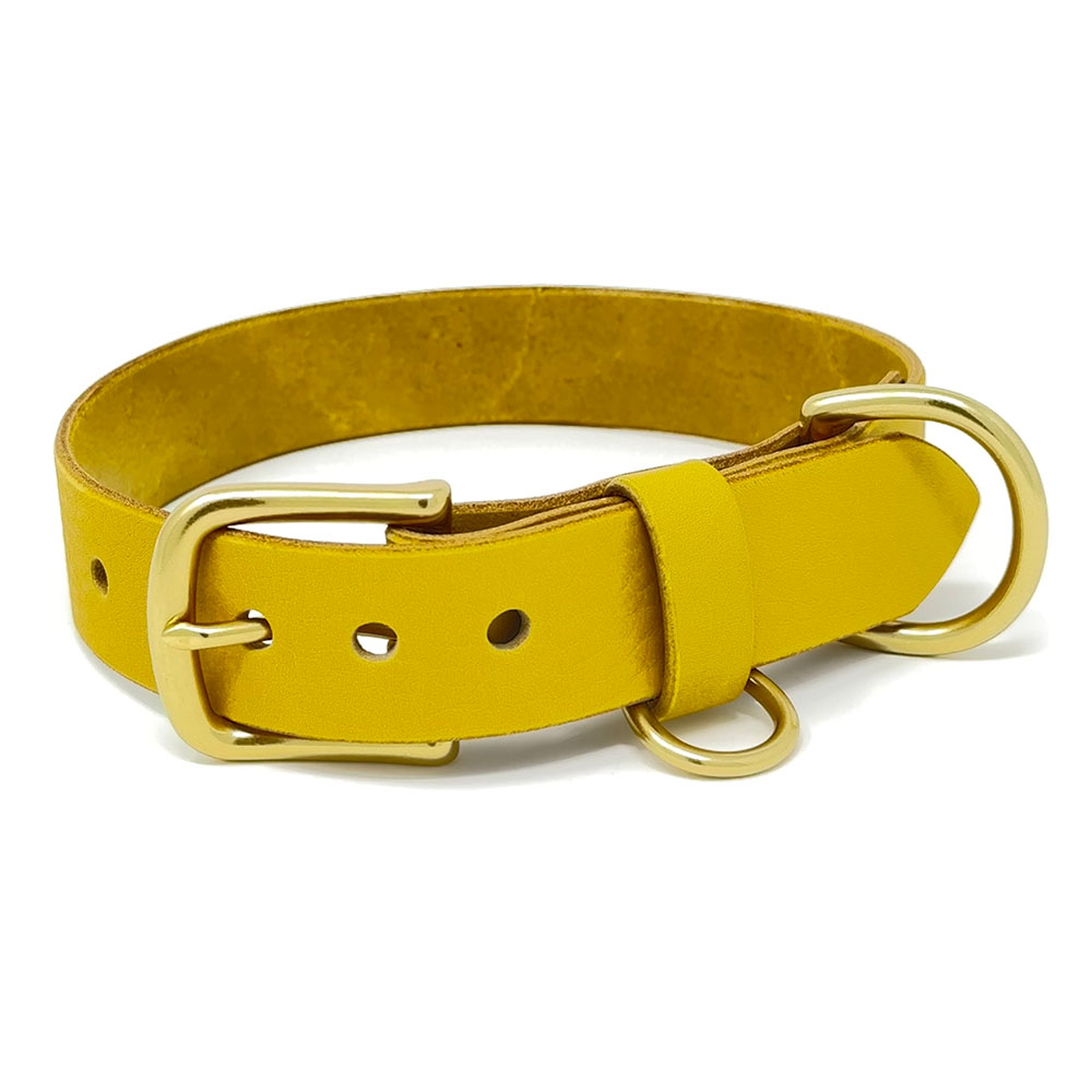 Last State Leather - Large Leather Collar - Mustard/Brass
