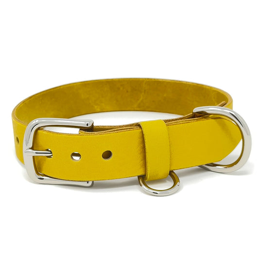 Last State Leather - Large Leather Collar - Mustard/Nickel