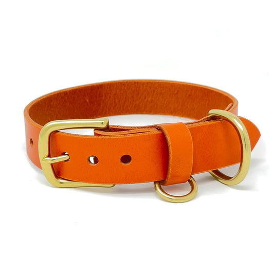 Last State Leather - Large Leather Collar - Orange/Brass