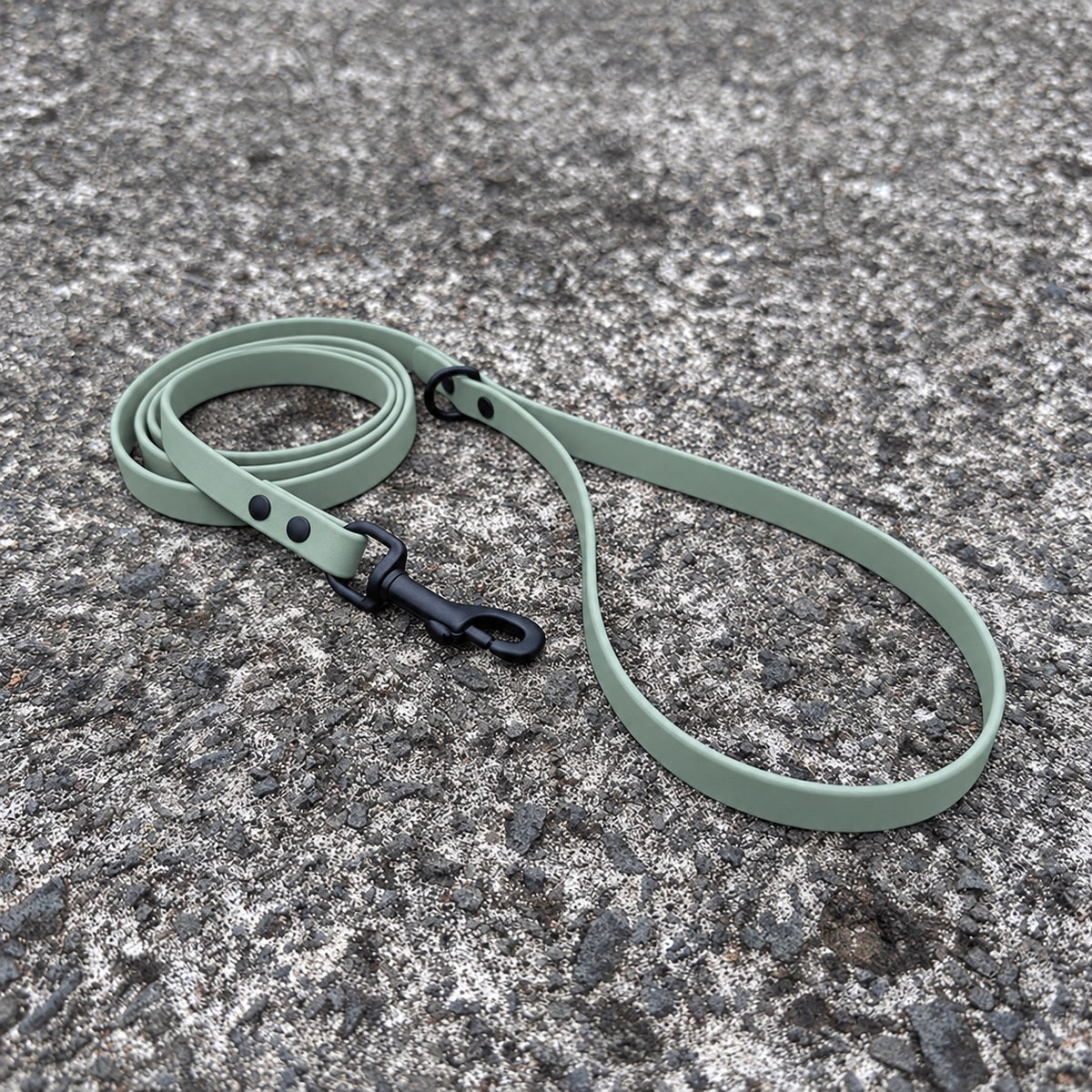 last state leather's 4ft biothane leash in 1/2" width in sage color