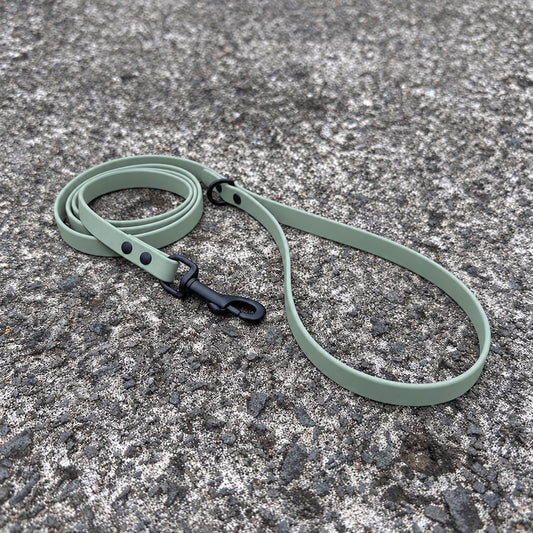 last state leather's 4ft biothane leash in 1/2" width in sage color
