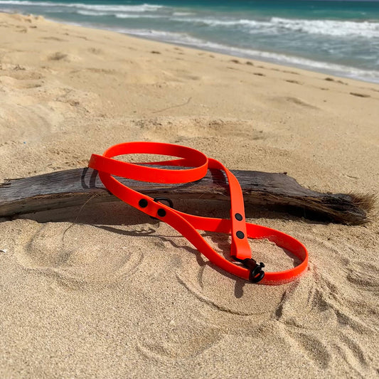 Last State Leather 4ft BioThane dog leash in hunter orange