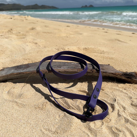 Last State Leather 4ft BioThane dog leash in violet