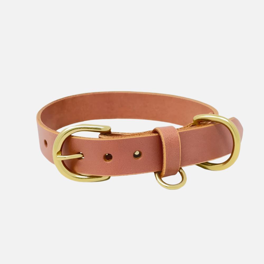 Last State Leather - Medium Leather Collar - Blush/Brass