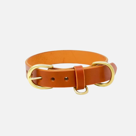 Last State Leather - Medium Leather Collar - Chestnut/Brass