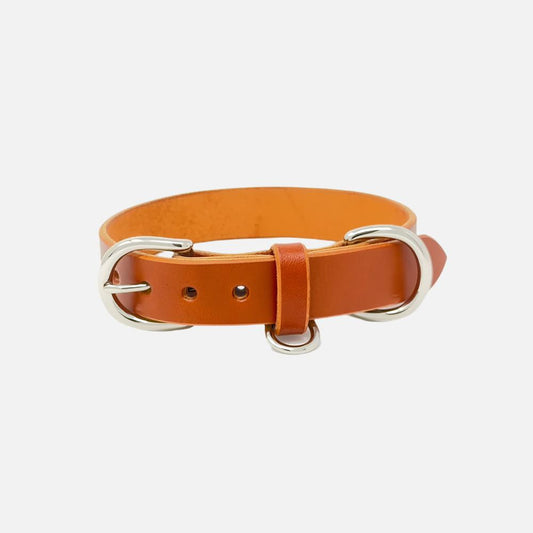 Last State Leather - Medium Leather Collar - Chestnut/Nickel