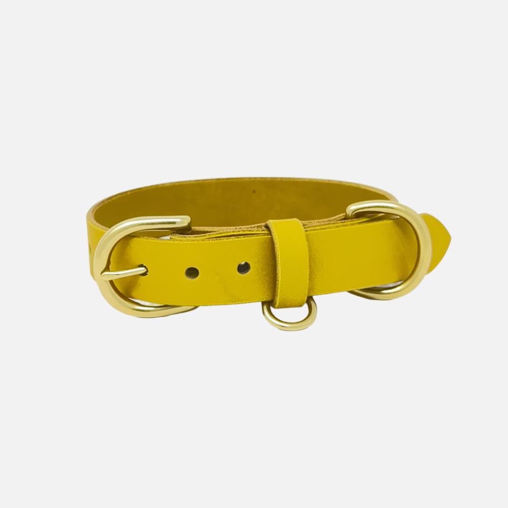 Last State Leather - Medium Leather Collar - Mustard/Brass