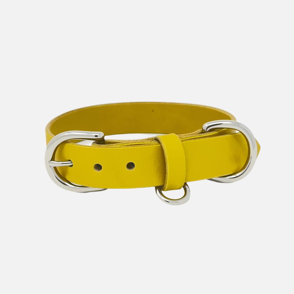 Last State Leather - Medium Leather Collar - Mustard/Nickel