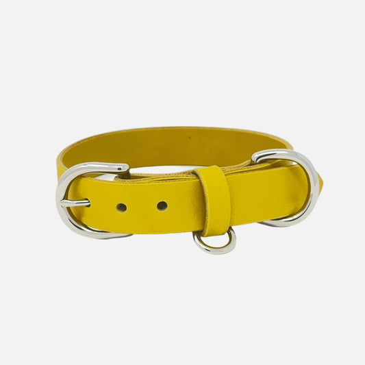 Last State Leather - Medium Leather Collar - Mustard/Nickel