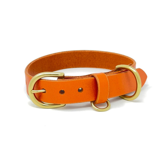 Last State Leather - Medium Leather Collar - Orange/Brass