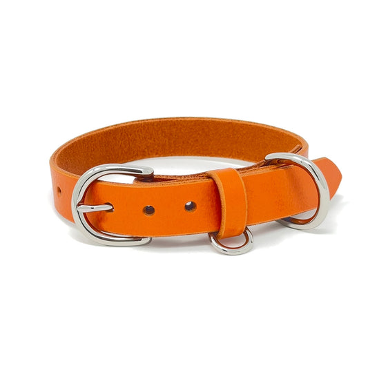 Last State Leather - Medium Leather Collar - Orange/Nickel