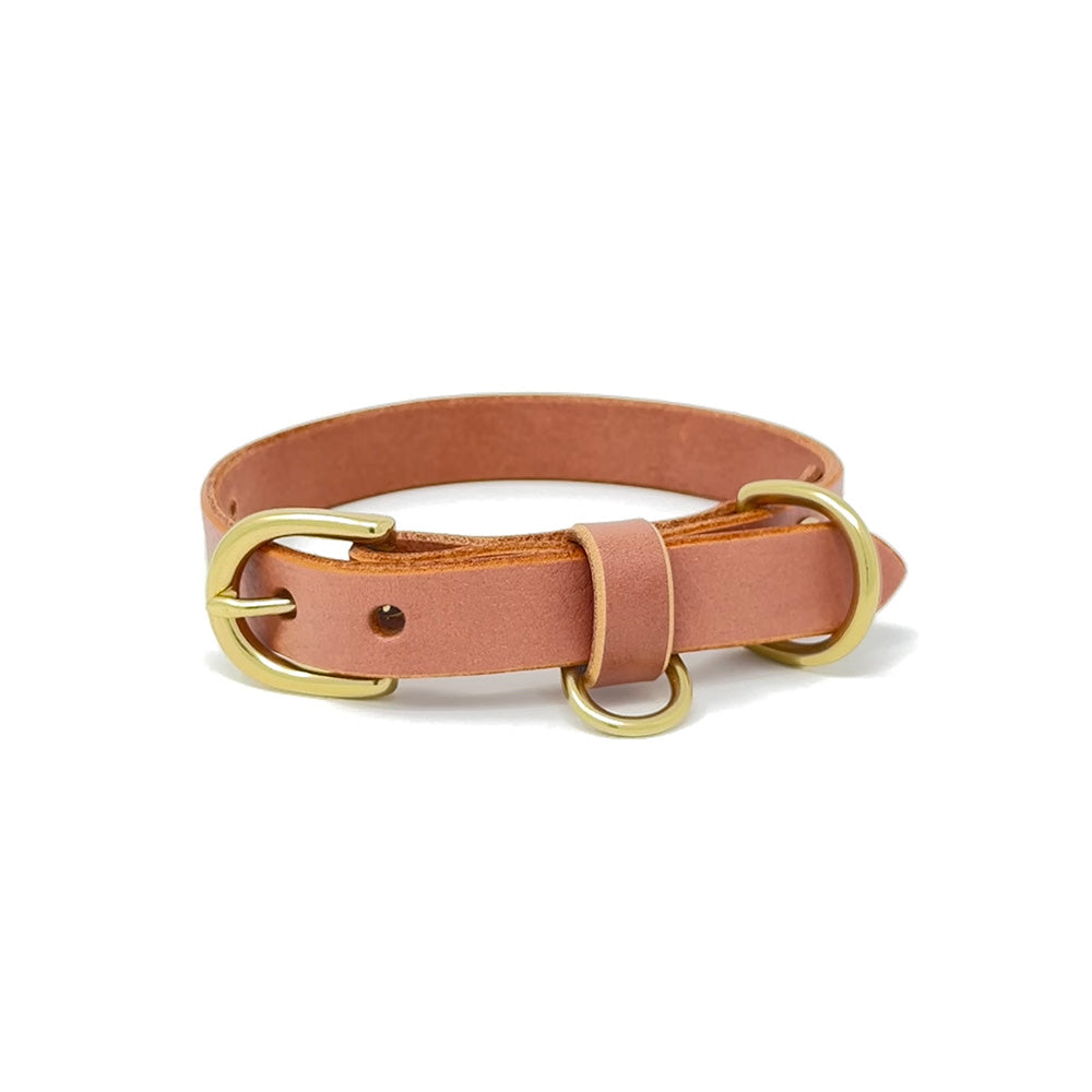 Last State Leather - Small Leather Collar - Blush/Brass