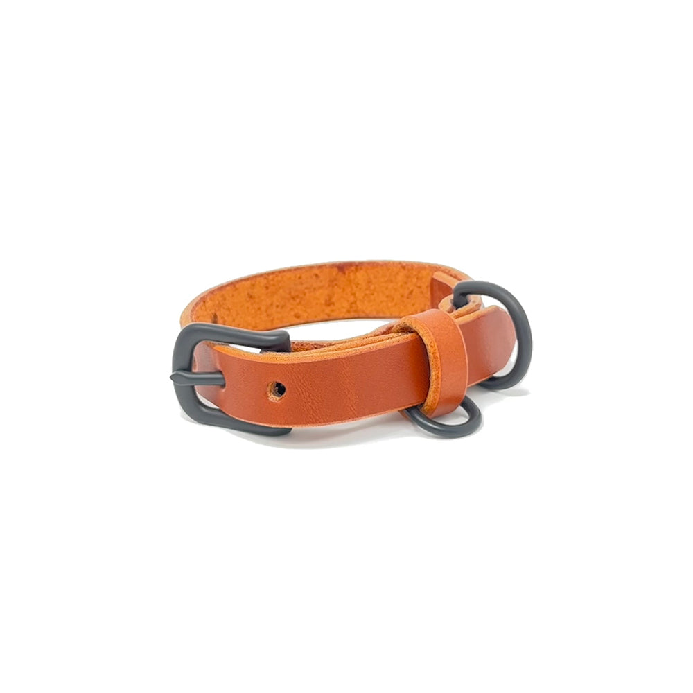 Last State Leather - Small Leather Collar - Chestnut/Black