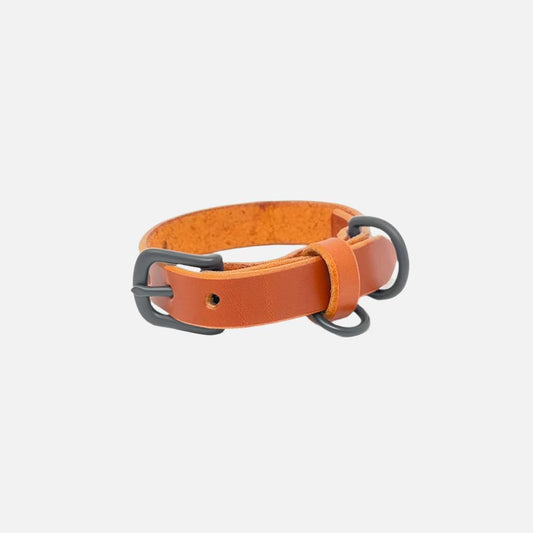 Last State Leather - Small Leather Collar - Chestnut/Black