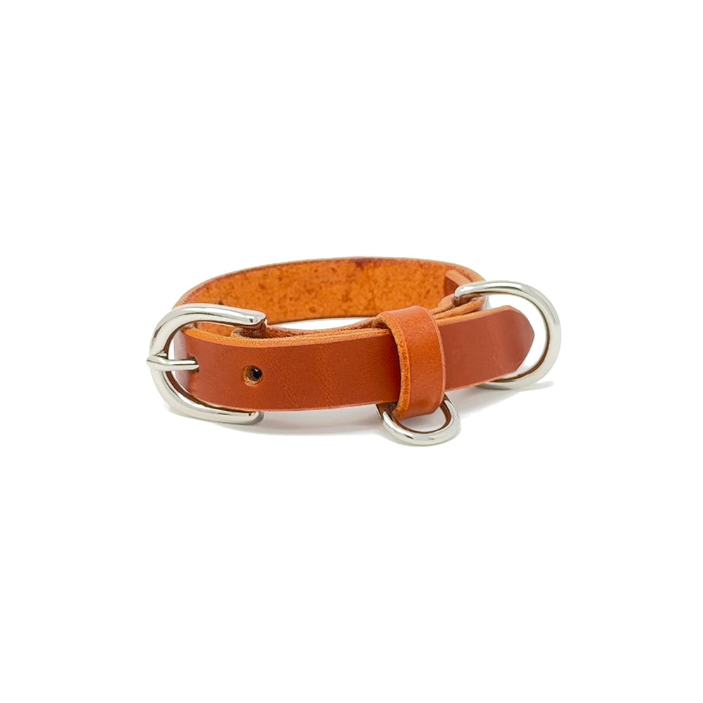 Last State Leather - Small Leather Collar - Chestnut/Nickel
