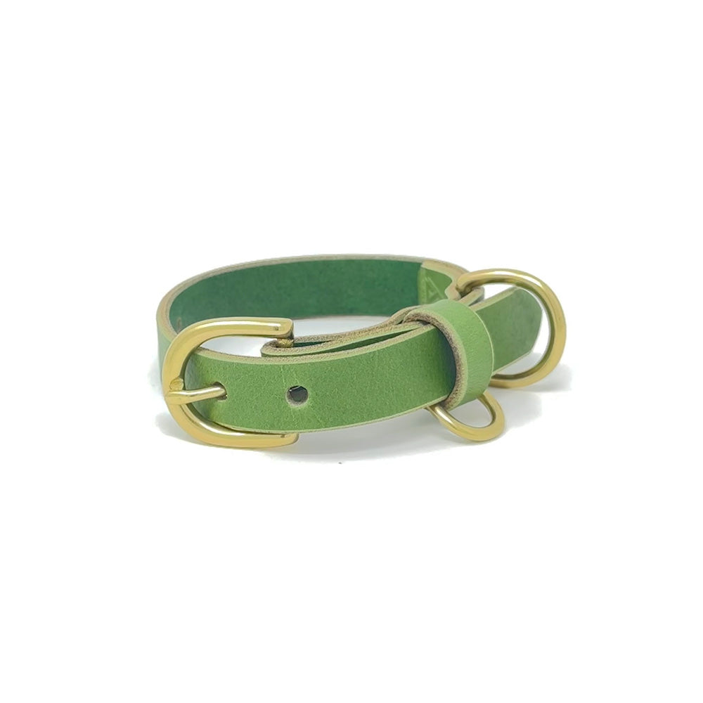 Last State Leather - Small Leather Collar - Green/Brass