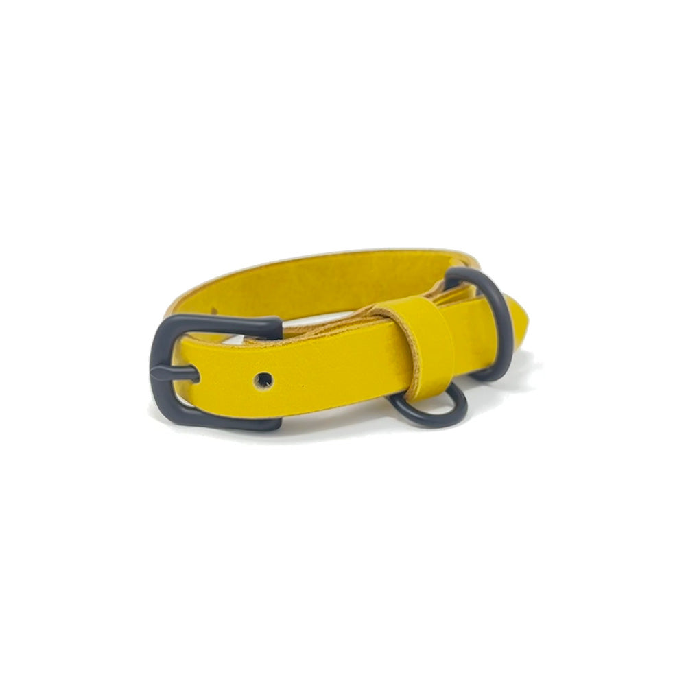 Last State Leather - Small Leather Collar - Mustard/Black