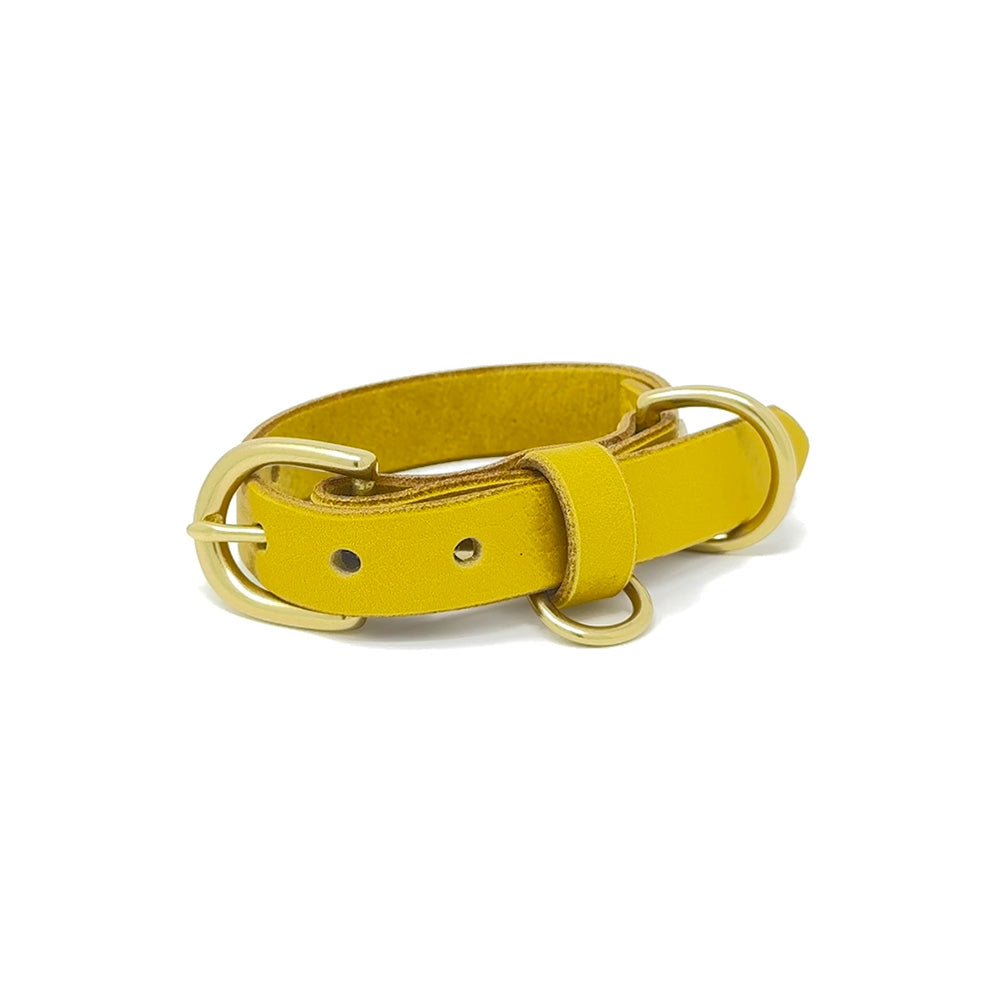 Last State Leather - Small Leather Collar - Mustard/Brass